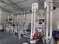 10噸小米生産線